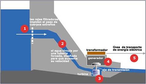 Imagen5