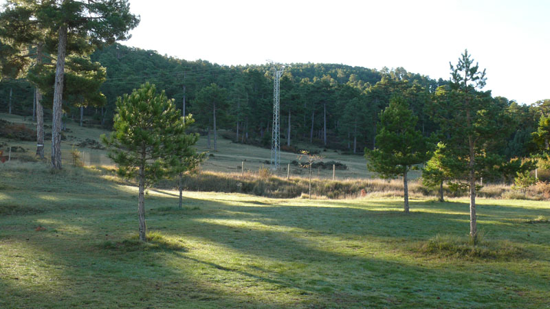 P1010001.JPG