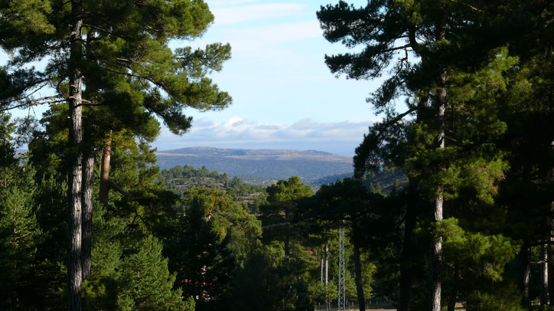 P1010019.JPG
