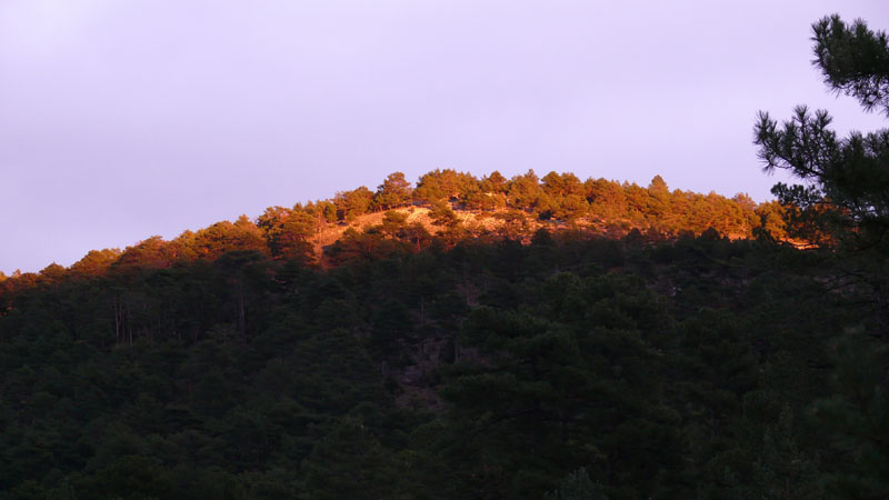 P1010112.JPG