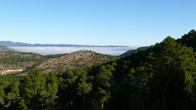 P1010126.JPG