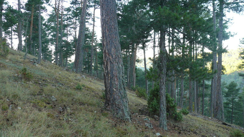 P1010220.JPG